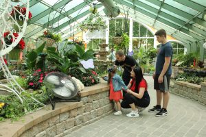 Mackinac Island’s Surrey Hill neighborhood is home to the Wings of Mackinac Butterfly Conservatory.