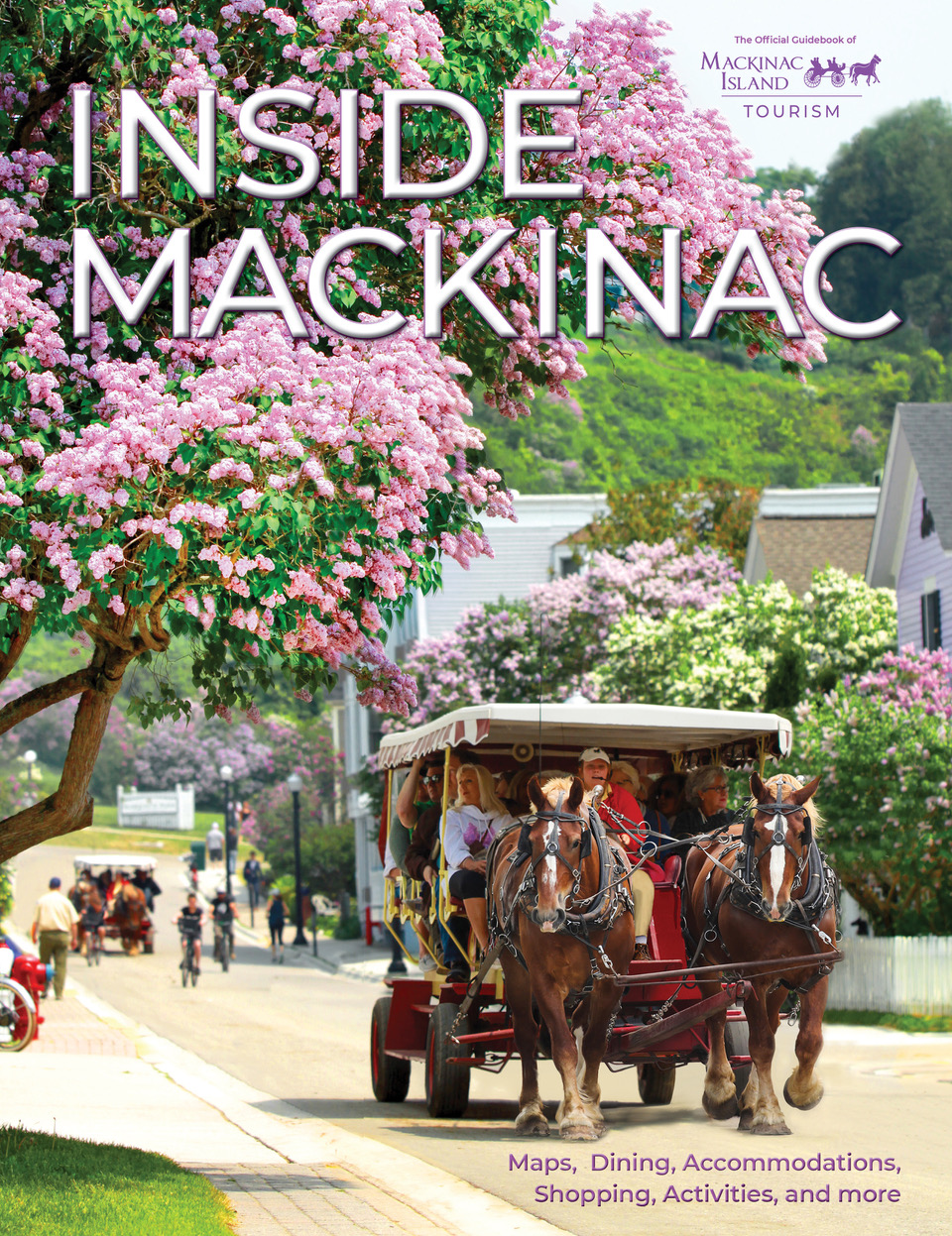 mackinac island carriage tours private