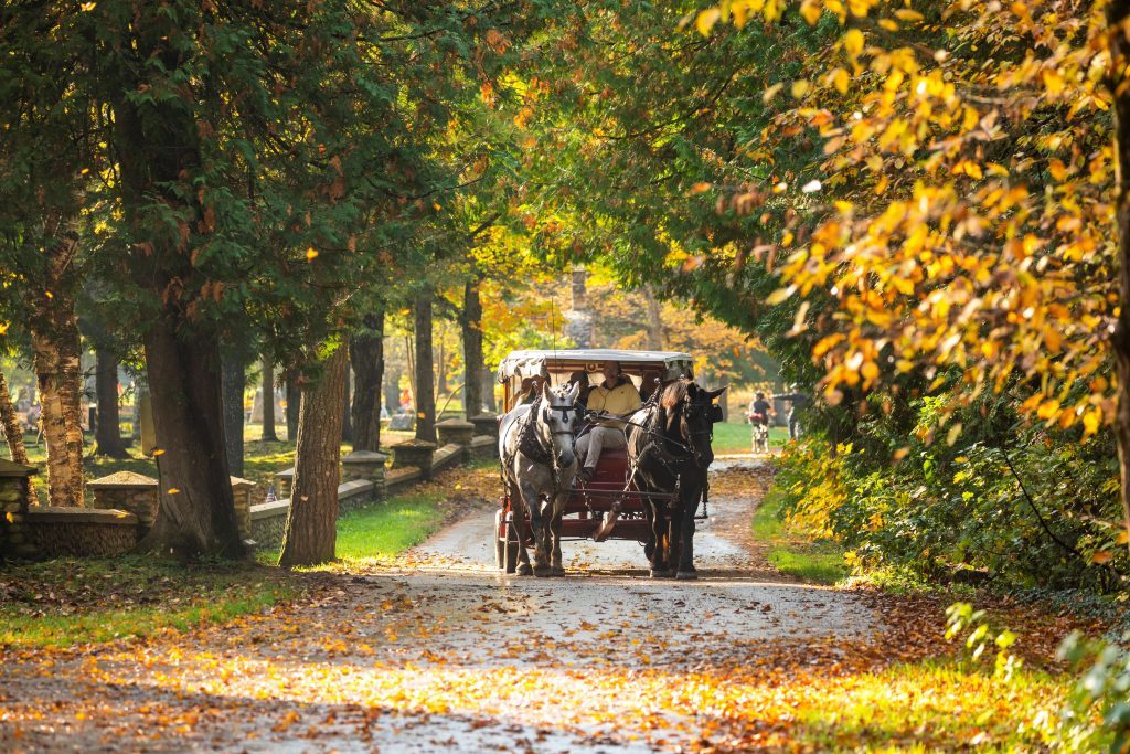 A horse-drawn carriage makes its way down a leaf-covered road on Mackinac Island in the fall