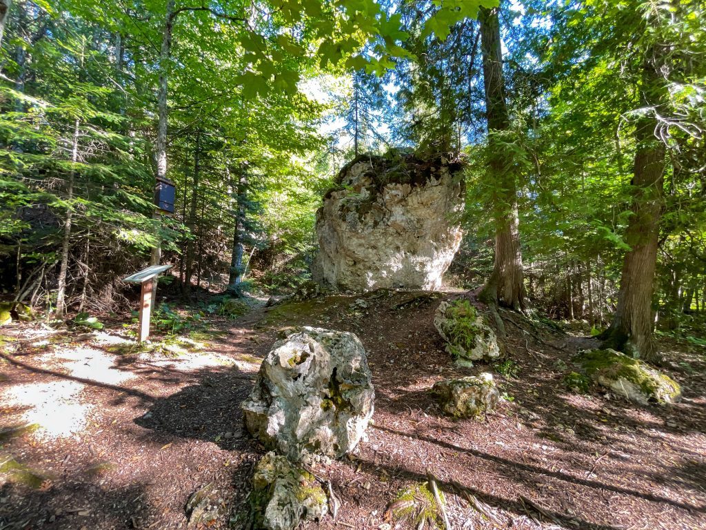 Friendship's Altar rises out of the ground in the woods near British Landing on Mackinac Island