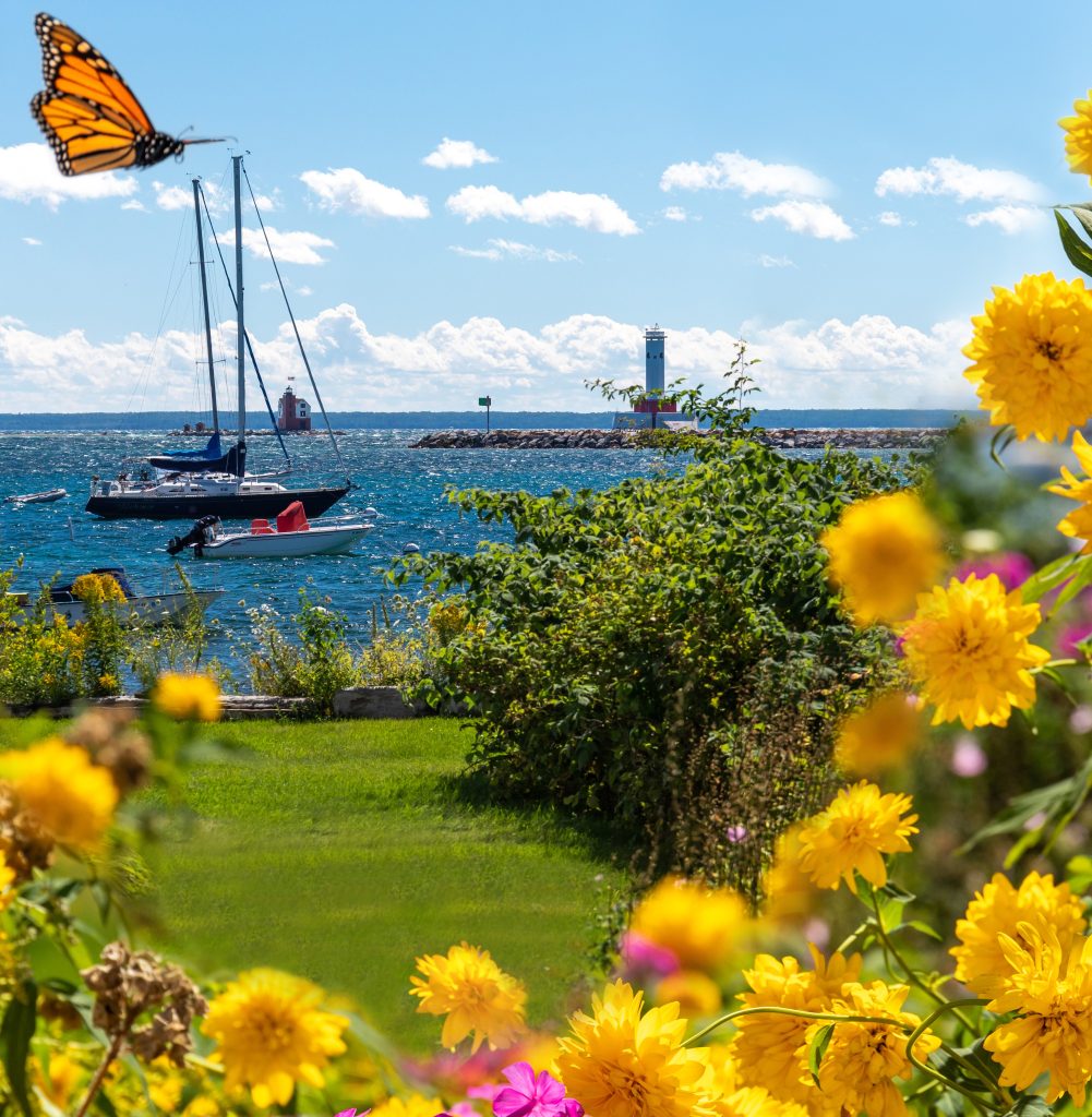 A Monarch butterfly flutters in a flower garden with boats on the water in the Mackinac Island harbor in the background