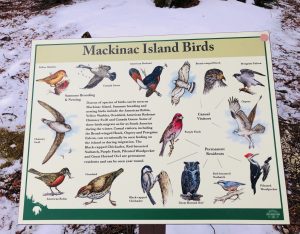 An informational placard showing the variety of birds that can be seen and heard on Mackinac Island