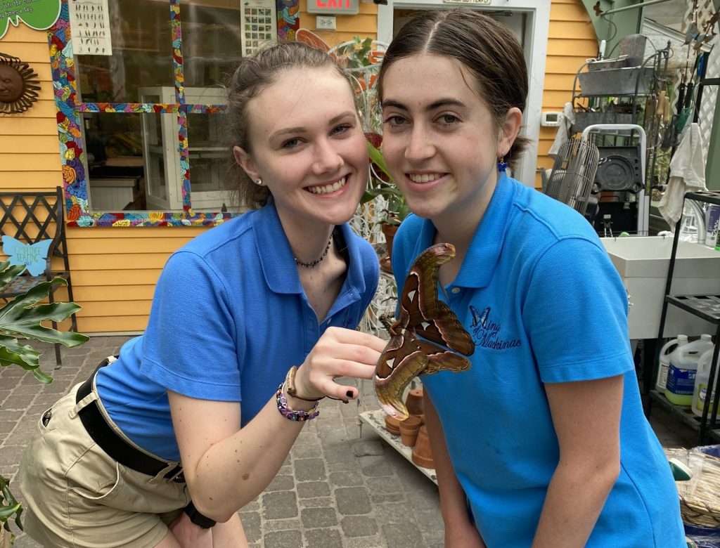 Two staff members smile for the camera with a butterfly at the Wings of Mackinac conservatory on Mackinac Island.