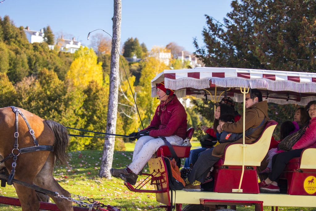 Horse-drawn carriages are a popular way of getting around Mackinac Island where cars are prohibited.