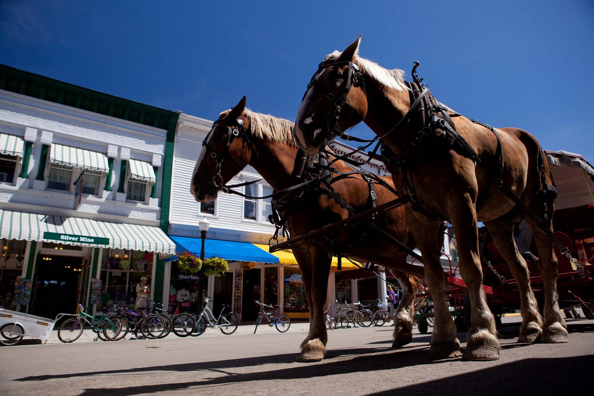 mackinac island carriage tours mackinac island mi