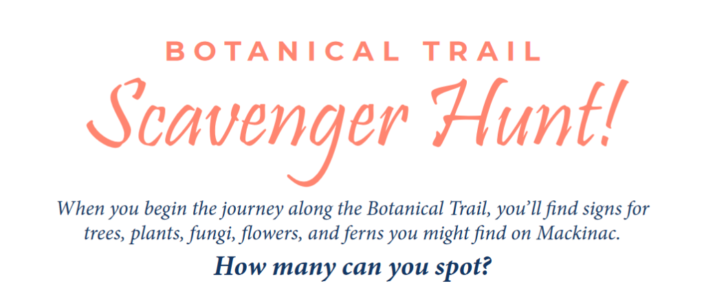 Clickable link to downloadable scavenger hunt along Mackinac Island's Botanical Trail