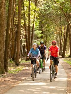 Three bicyclists wearing helmets pedal down a paved trail through the woods on Mackinac Island.