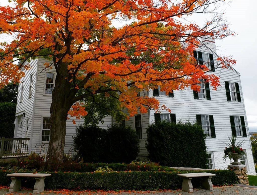 Orange leaves fill a tree in fall outside the Richard and Jane Manoogian Mackinac Art Museum on Mackinac Island