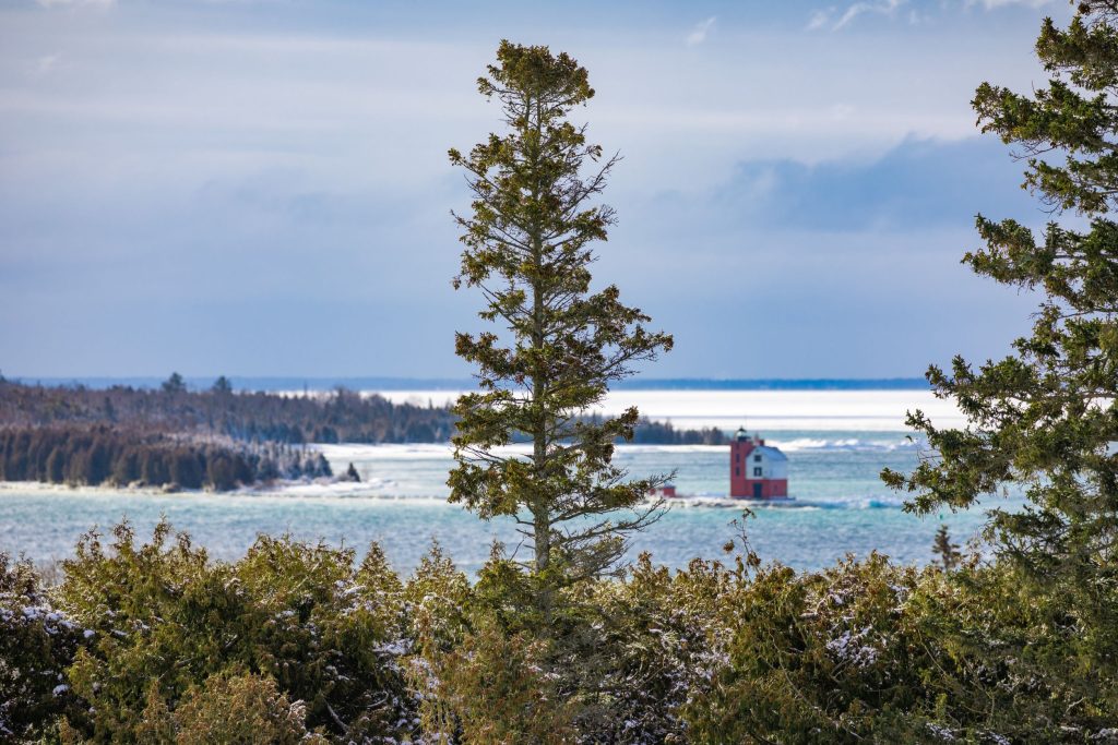 A pine tree rises into view on Mackinac Island with the surrounding waters and Round Island Lighthouse in the background covered in snow and ice