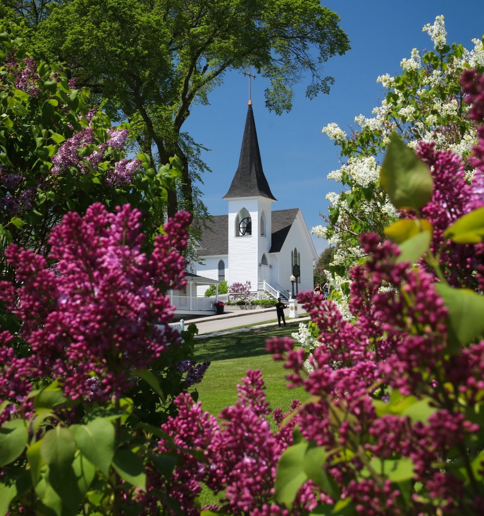 Gorgeous lilacs bloom on Mackinac Island with historic Ste. Anne's Church in the background