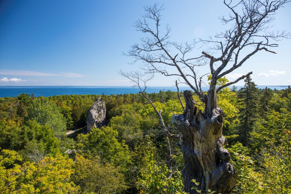 Mackinac Island's iconic Sugar Loaf rock formation rises out of the forest of Mackinac Island State Park with a leafless tree in the foreground and the water on the horizon