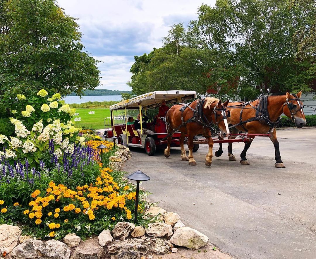 A horse-drawn carriage makes it way up a hill past flowers by Mackinac Island’s Mission Point Resort lawn