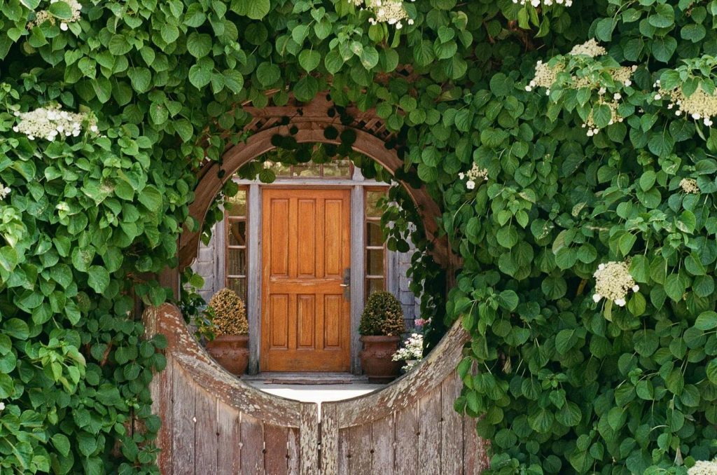 A wooden door is seen through an opening in a gate bordered in green leaves on Mackinac Island